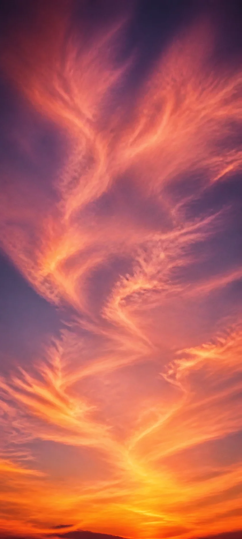 Editorial Detail Sunset Cirrus