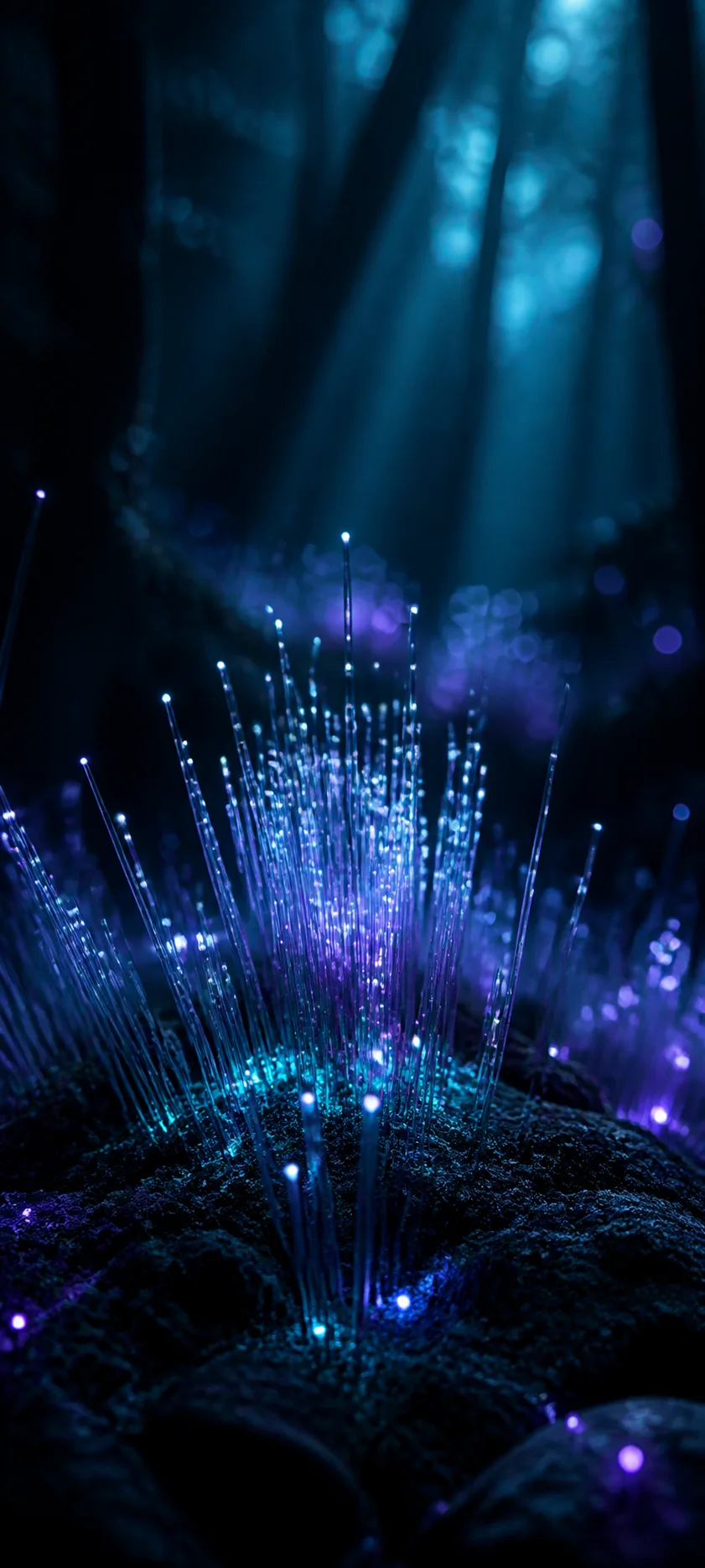 Epic Cinematic Fiber Optics