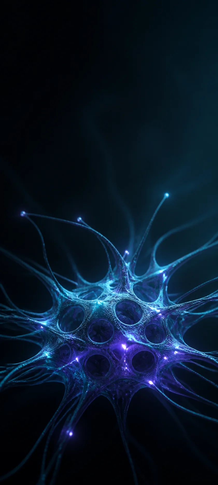 Minimal Iconic Neural Network