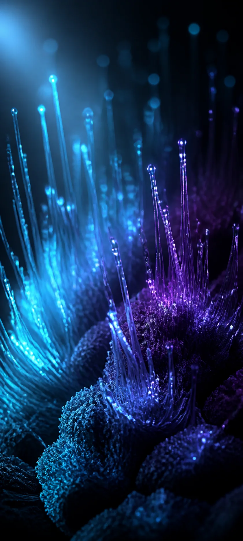 Painterly Prestige Fiber Optics