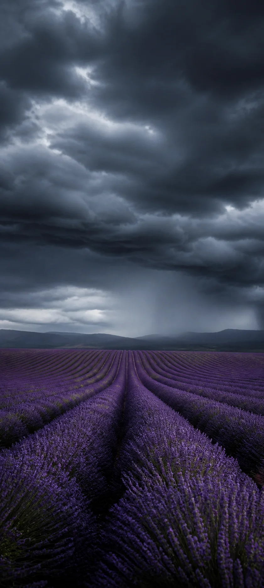 Blue Hour Storm Over Lavender