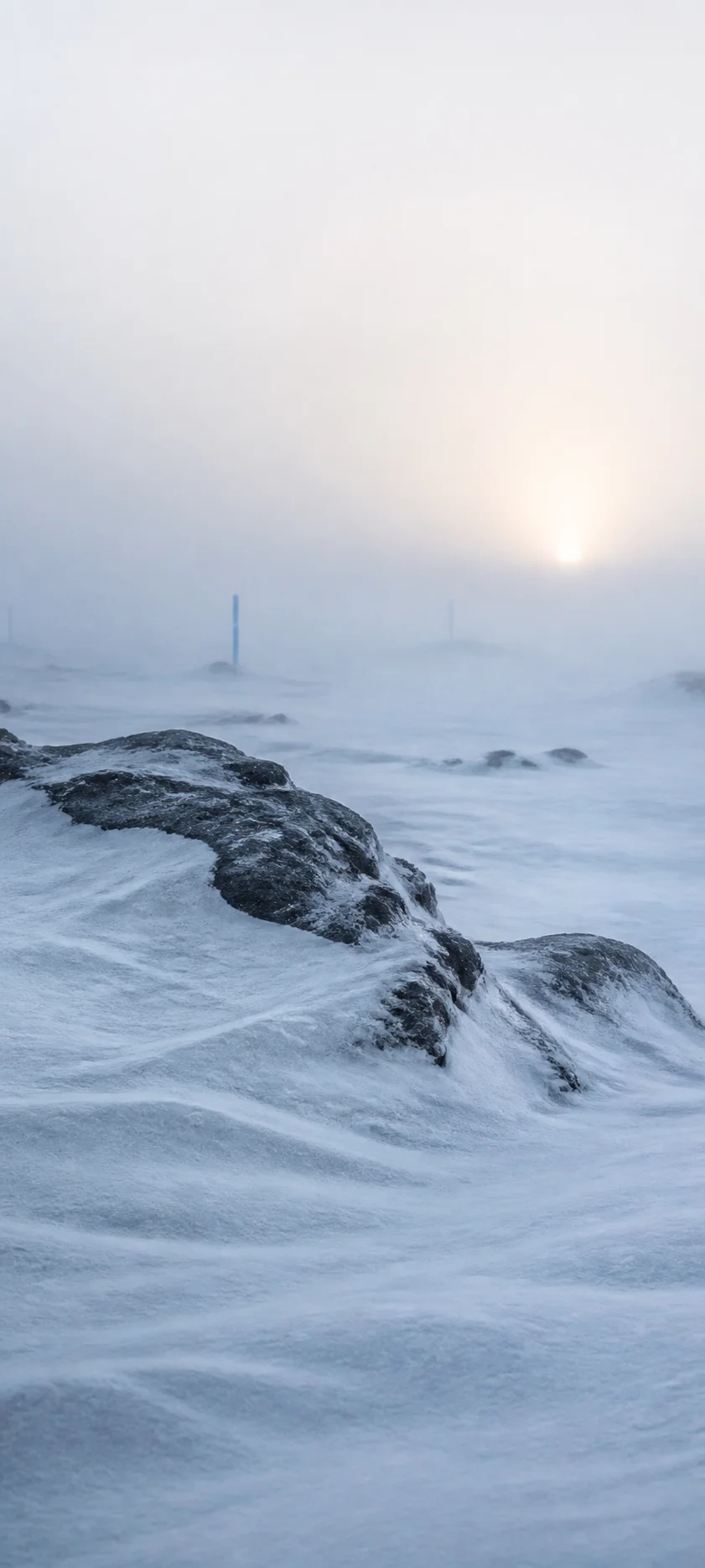 Cinematic Dawn Polar Whiteout