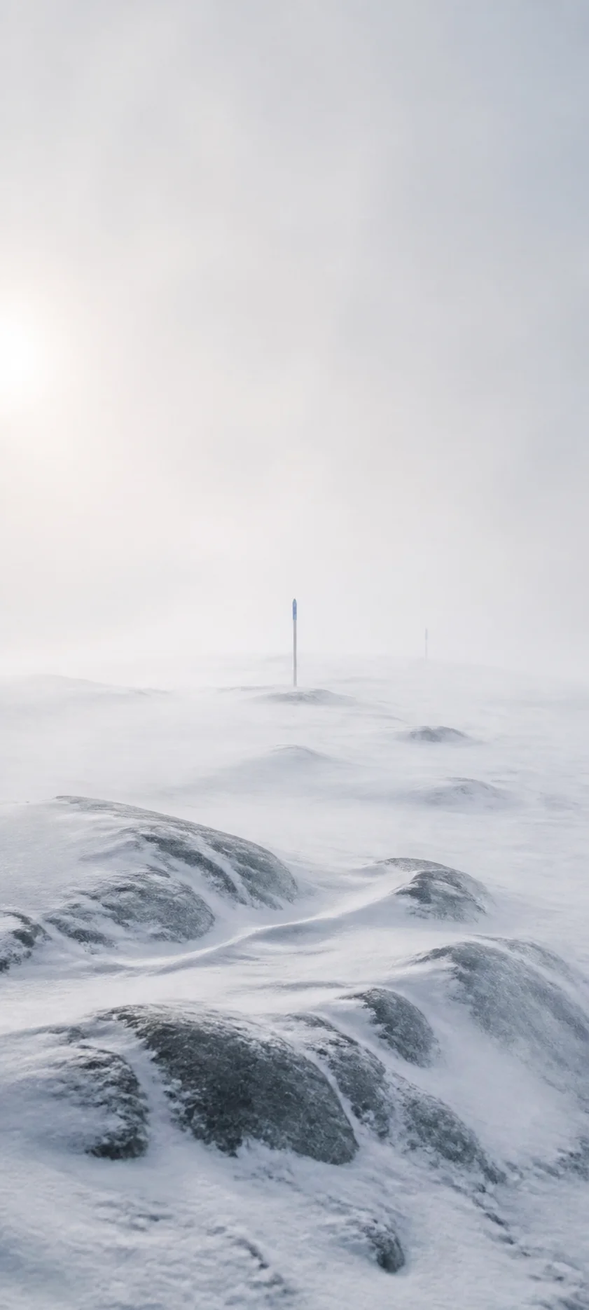Editorial Detail Polar Whiteout