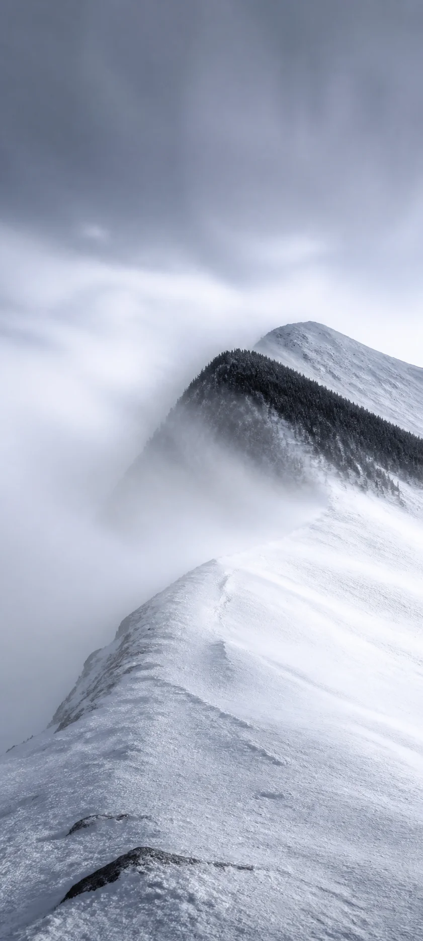 Minimal Luxe Alpine Blizzard