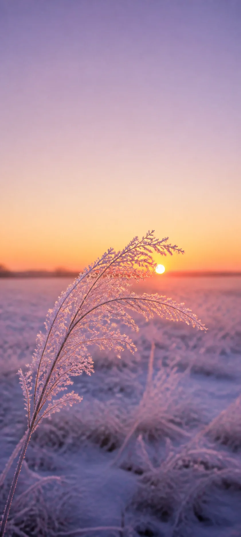 Minimal Luxe Frosted Sunrise