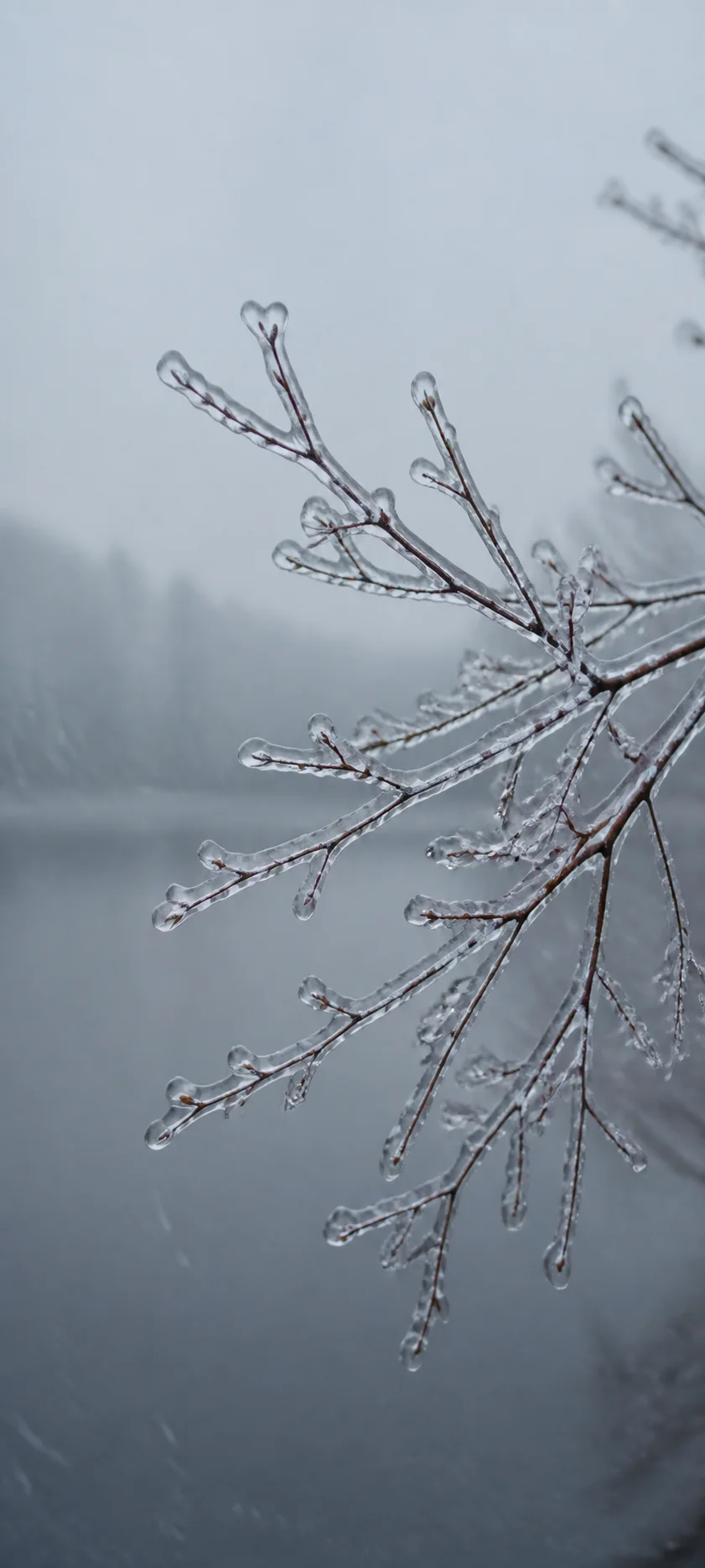 Minimal Luxe Frozen Rain