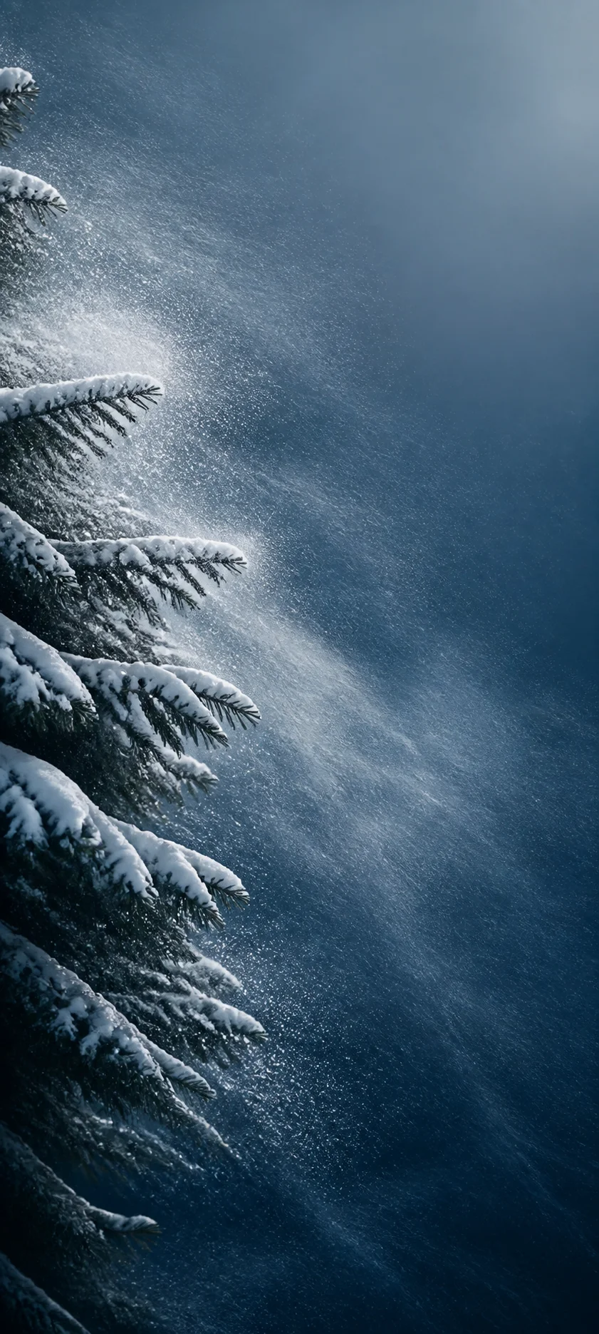 Minimal Luxe Snowy Forest Wind