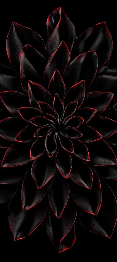 Crimson Petal Bloom