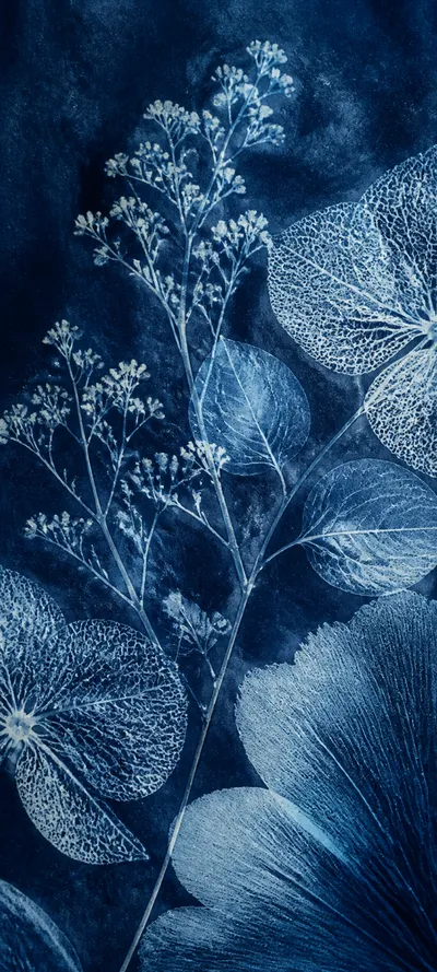 Material Study Botanical Cyanotype