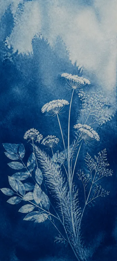 Minimal Masterwork Botanical Cyanotype