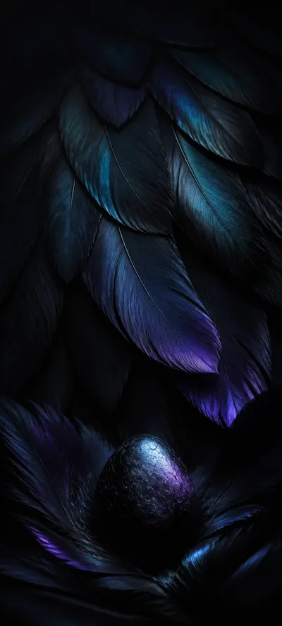 Minimal Iconic Black Feathers