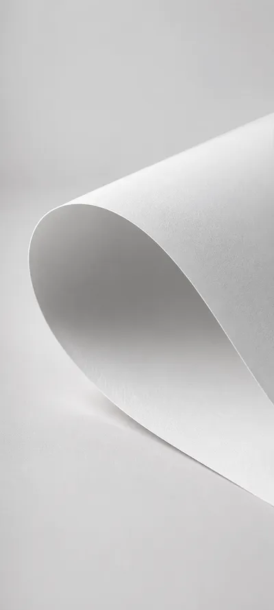 Curled White Paper Sheet