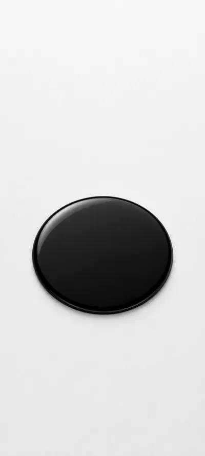 Glossy Black Disc On White
