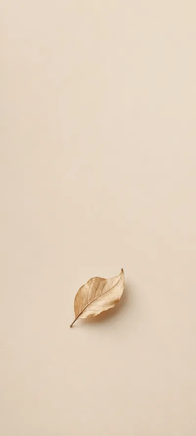 Single Dried Leaf On Beige