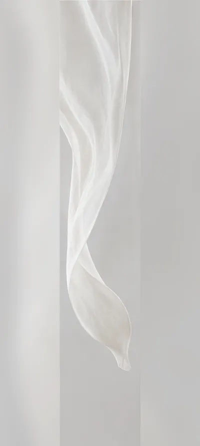Translucent White Curtain Form