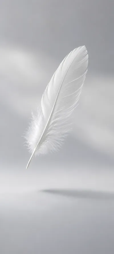 White Feather Floating Grey