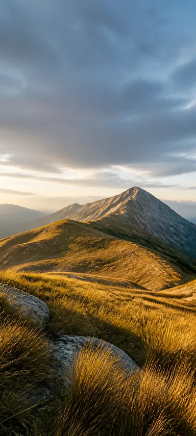 Golden Highland Grass