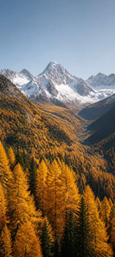 Golden Larch Mountain