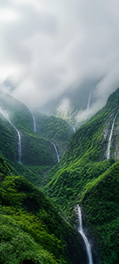 Monsoon Green Highlands