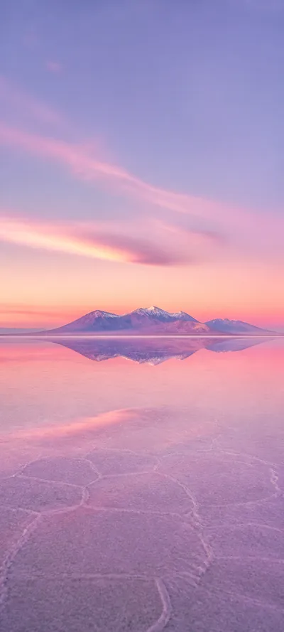 Rose Salt Flat Reflection