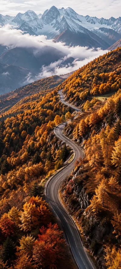 Autumn Mountain Road
