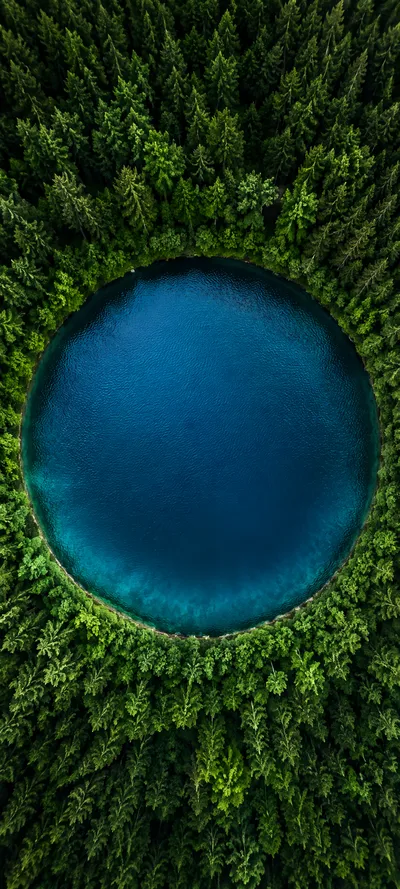 Circular Forest Lake Aerial