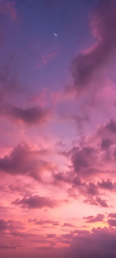 Pink Cloudy Sky
