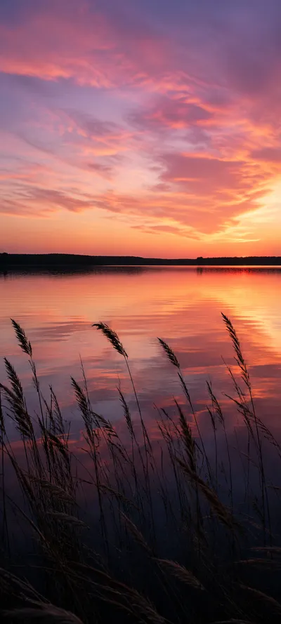 Sunset Reeds Lake
