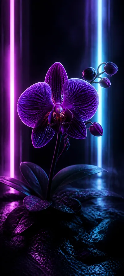 Epic Cinematic Electric Orchid