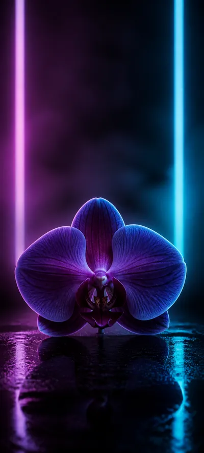 Minimal Iconic Electric Orchid