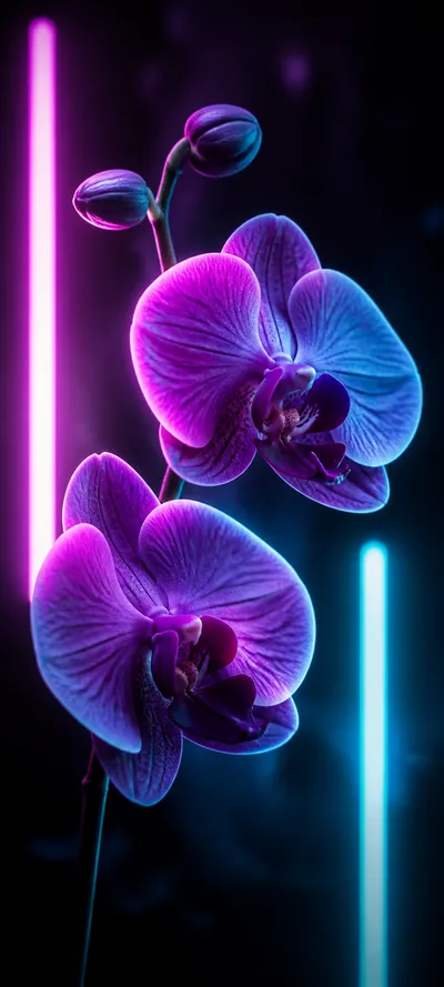 Painterly Prestige Electric Orchid