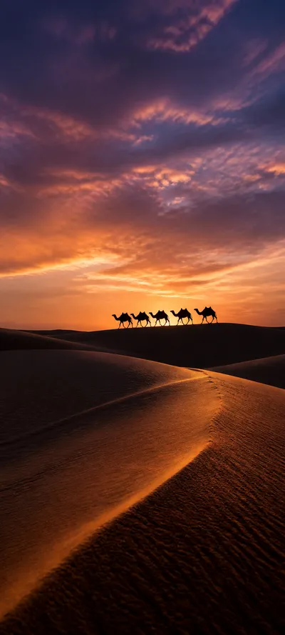 Blue Hour Desert Caravan