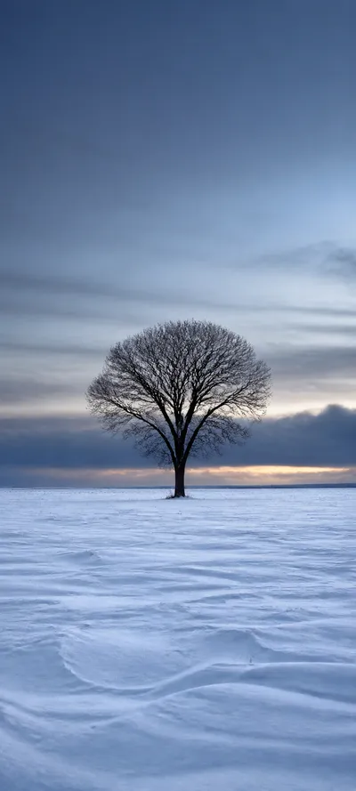 Blue Hour Snow Minimalism