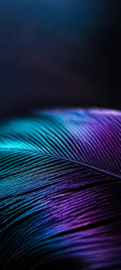 Cinematic Dawn Macro Feather