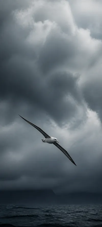 Cinematic Dawn Storm Bird