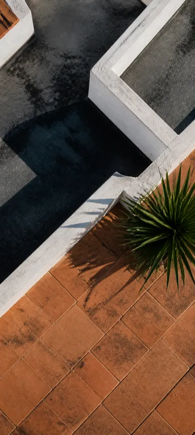 Editorial Detail Rooftop Geometry