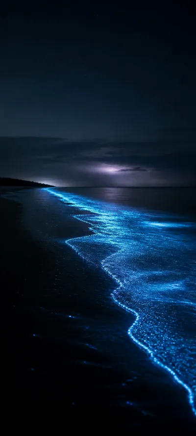 Minimal Luxe Bioluminescent Shore