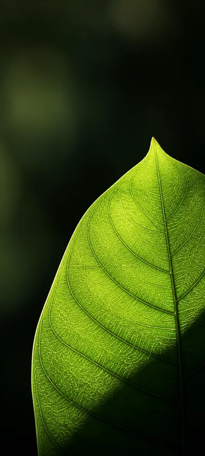 Minimal Luxe Macro Leaf Veins