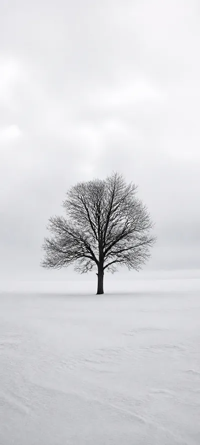 Minimal Luxe Snow Minimalism