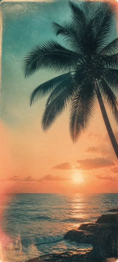 Authentic Print Polaroid Palms