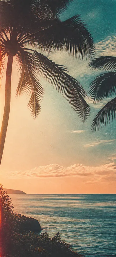 Restored Archive Polaroid Palms