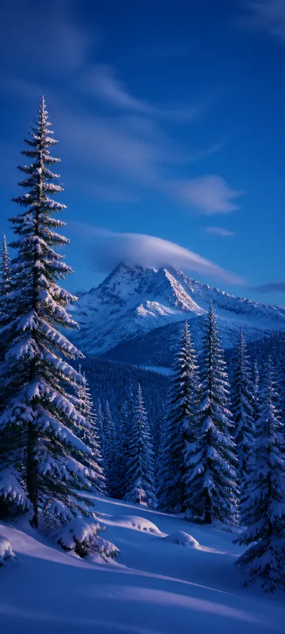 Blue Hour Winter Pines