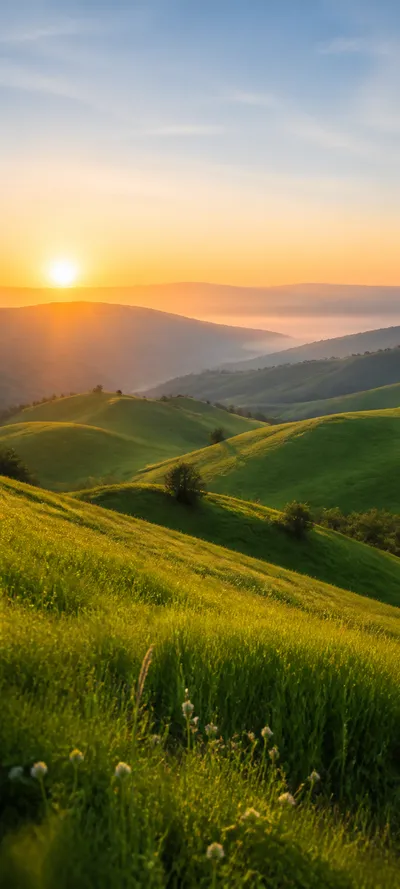 Cinematic Dawn Spring Sunrise
