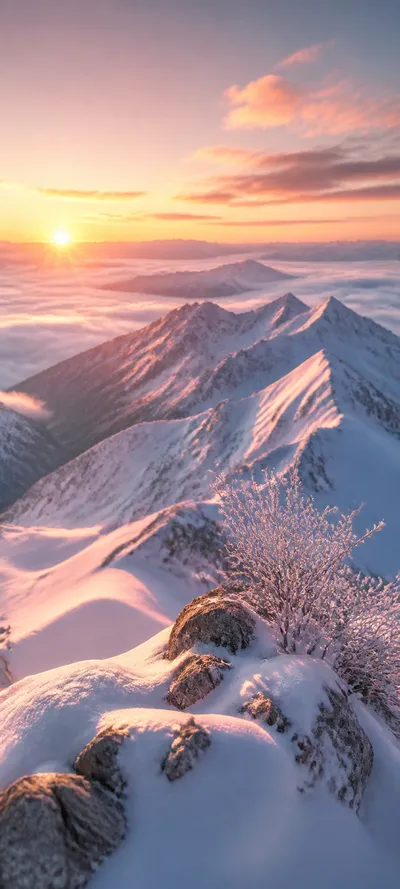 Editorial Detail New Year Dawn