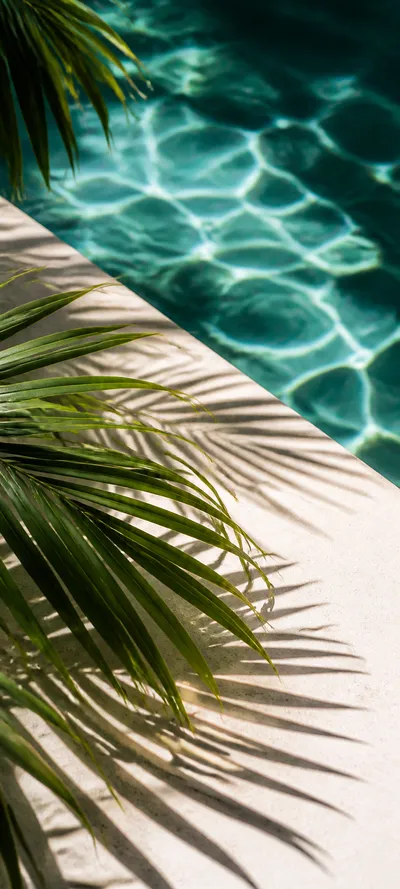 Editorial Detail Tropical Afternoon
