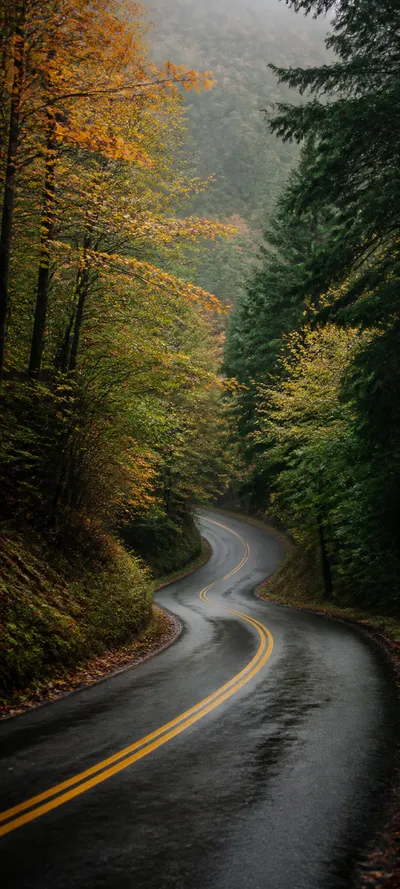Minimal Luxe Early Autumn Road