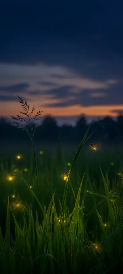 Minimal Luxe Firefly Evening