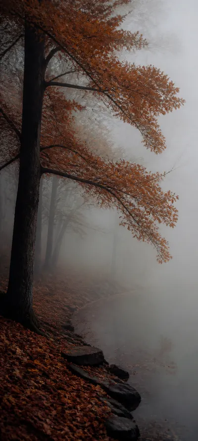 Minimal Luxe Foggy October
