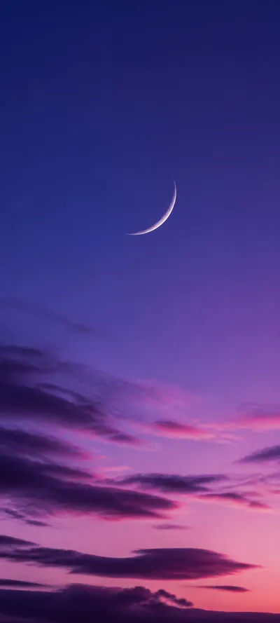 Editorial Detail Crescent Twilight
