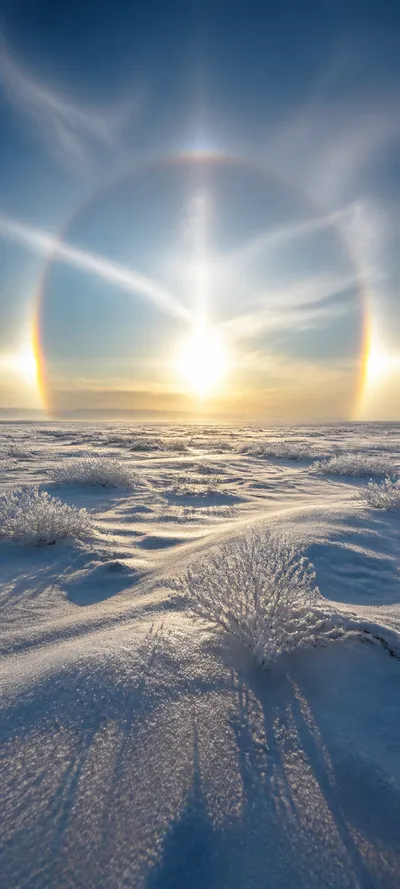 Editorial Detail Sun Dogs